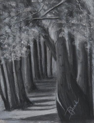 Into the Woods