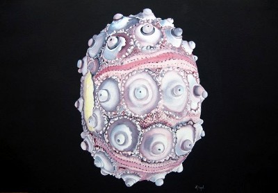 Cosmic Beacon